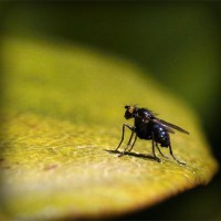 /album/mobile-phones/photolia-a07-jpg/